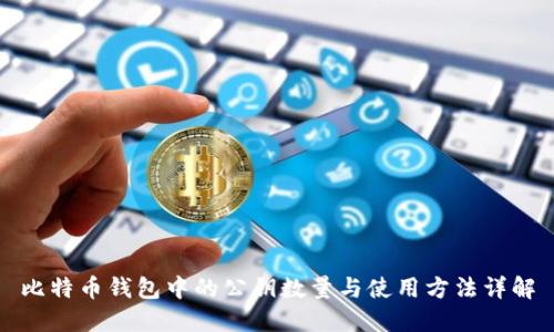 比特币钱包中的公钥数量与使用方法详解