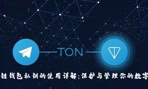 区块链钱包私钥的使用详解：保护与管理你的数字资产