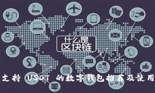 十大支持 USDT 的数字钱包推荐及使用指南