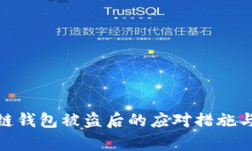 : tp区块链钱包被盗后的应对措施与防护技巧