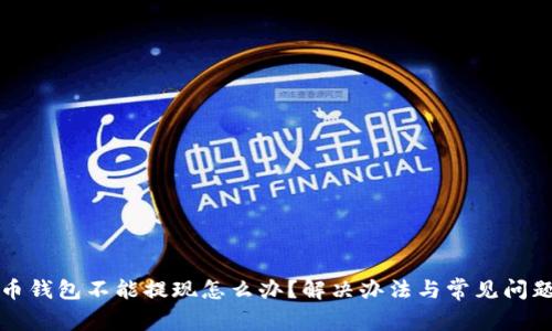比特币钱包不能提现怎么办？解决办法与常见问题详解