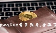 每日更新 tpwallet首页图片