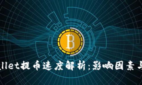 TPWallet提币速度解析：影响因素与策略