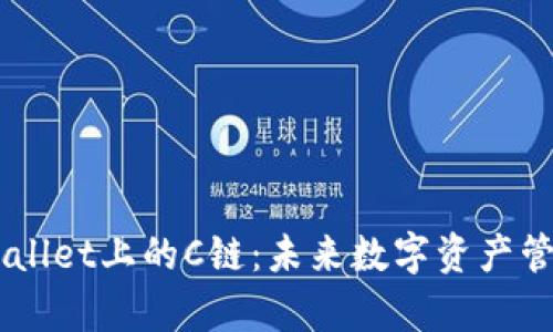 深入解析TPWallet上的C链：未来数字资产管理的全新视角