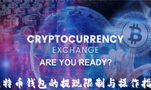 
比特币钱包的提现限制与操作指南