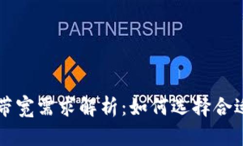 : USDT钱包带宽需求解析：如何选择合适的网络环境