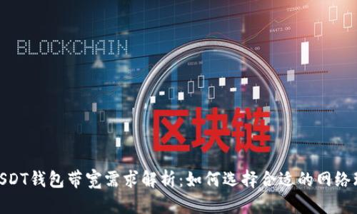 : USDT钱包带宽需求解析：如何选择合适的网络环境