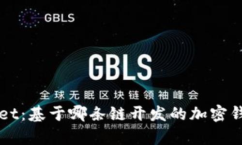 TPWallet：基于哪条链开发的加密钱包解析
