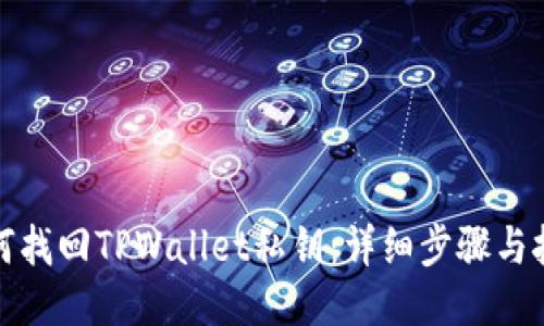如何找回TPWallet私钥：详细步骤与技巧