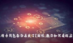 比特币钱包备份丢失了？