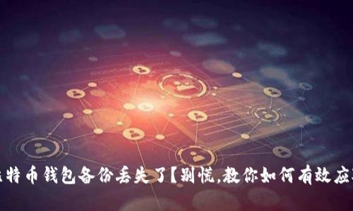 比特币钱包备份丢失了？别慌，教你如何有效应对