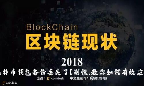 比特币钱包备份丢失了？别慌，教你如何有效应对