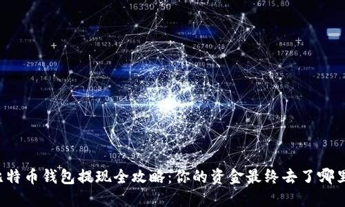 比特币钱包提现全攻略：你的资金最终去了哪里？