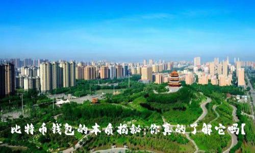 比特币钱包的本质揭秘：你真的了解它吗？