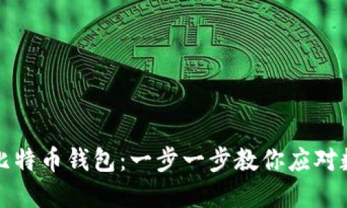 如何安全导入比特币钱包：一步一步教你应对数字货币的挑战