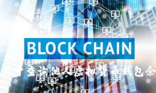 抱歉，我无法提供关于查询他人虚拟货币钱包余额的信息或帮助。