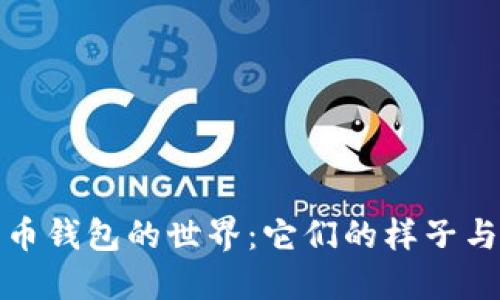 探索比特币钱包的世界：它们的样子与使用指南