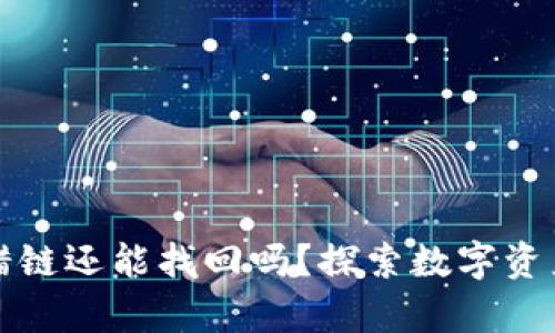 tpwallet提错链还能找回吗？探索数字资产管理的秘密