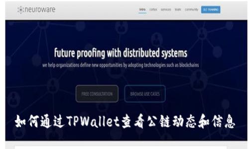 如何通过TPWallet查看公链动态和信息