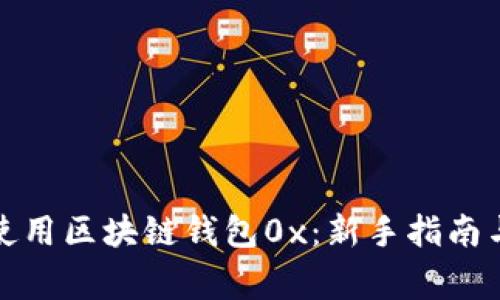 如何安全使用区块链钱包0x：新手指南与注意事项