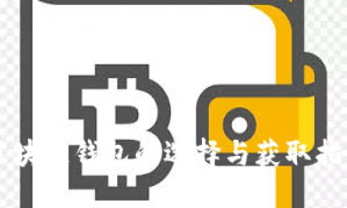 区块链钱包的选择与获取指南