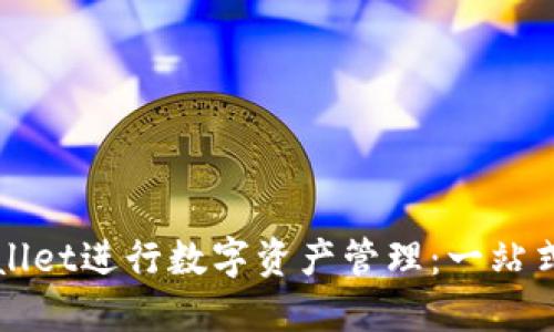 如何使用TPWallet进行数字资产管理：一站式钱包解决方案