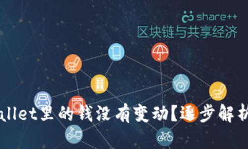 为什么TPWallet里的钱没有变动？逐步解析与解决方案