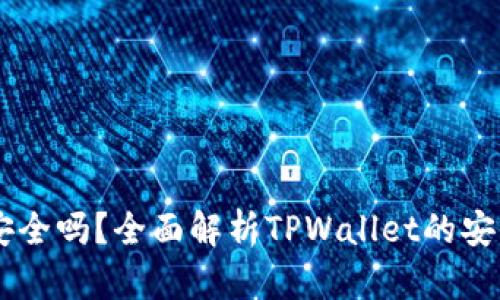 钱放TPWallet安全吗？全面解析TPWallet的安全性及风险管理
