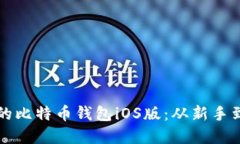 如何选择适合你的比特币钱包iOS版：从新手到高