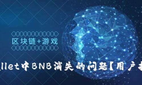 如何解决TPWallet中BNB消失的问题？用户指南与解决方案