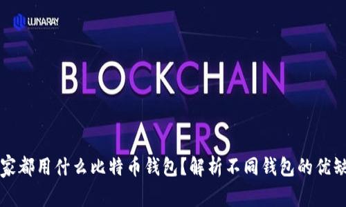 大家都用什么比特币钱包？解析不同钱包的优缺点