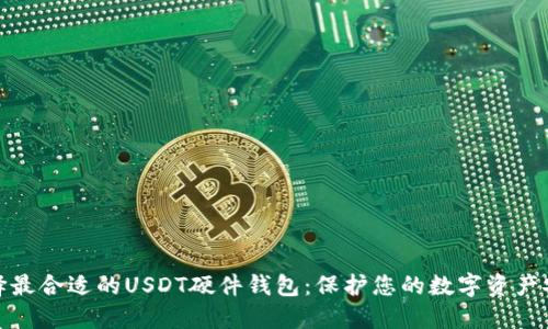 选择最合适的USDT硬件钱包：保护您的数字资产安全