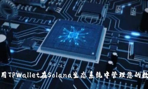 如何使用TPWallet在Solana生态系统中管理您的数字资产