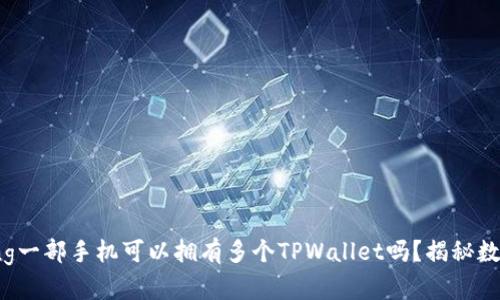 yingxiongjiuzhang一部手机可以拥有多个TPWallet吗？揭秘数字钱包的灵活使用