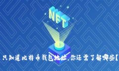 只知道比特币钱包地址，你还需了解哪些？