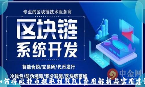 
如何将比特币提取到钱包？费用解析与实用建议