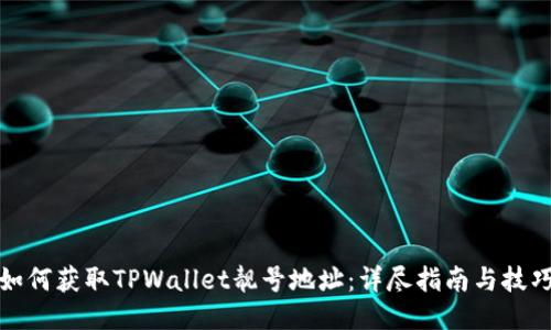 如何获取TPWallet靓号地址：详尽指南与技巧