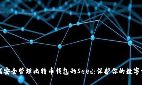 如何安全管理比特币钱包的Seed：保护你的数字资产