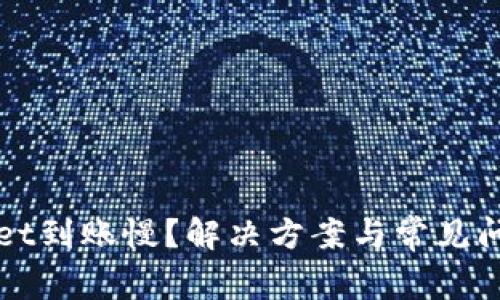 TPWallet到账慢？解决方案与常见问题解析