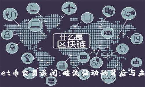 TPWallet币交易关闭：暗流涌动的背后与未来展望