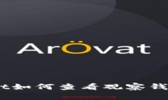 TokenPocket如何查看观察钱包：全面指南