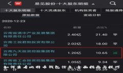 如何查看比特币钱包信息：全面指南与技巧