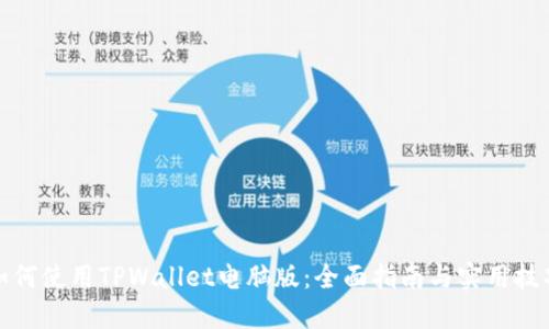 如何使用TPWallet电脑版：全面指南与实用技巧