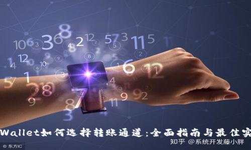 TPWallet如何选择转账通道：全面指南与最佳实践