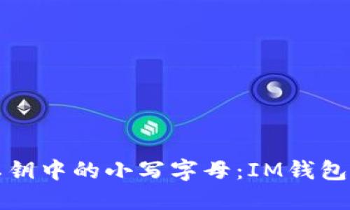 如何处理以太坊私钥中的小写字母：IM钱包安全性与管理指南