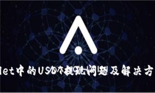 TPWallet中的USDT提现问题及解决方案详解