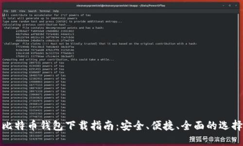 比特币钱包下载指南：安全、便捷、全面的选择