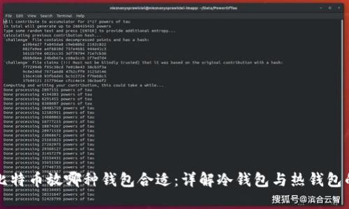 买了比特币放哪种钱包合适：详解冷钱包与热钱包的优劣