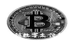 tpwallet指纹支付：引领数字