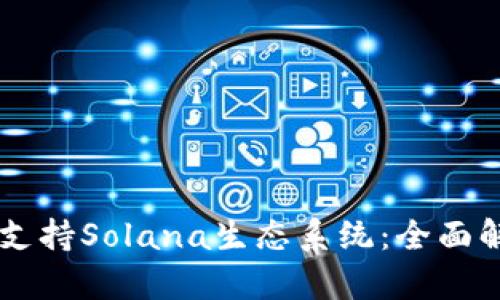 TPWallet如何支持Solana生态系统：全面解析与应用指南